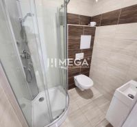 Shower and toilet combined with a sink in the office space.