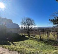 Sunny day in the village of Viničky with a family house and a vineyard on Viničky Street.