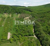 Gardens in Trnava pri Laborci surrounded by forests and fields offer a beautiful countryside view.