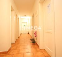 Interior of commercial premises with tiles, doors, and a potted plant.