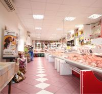 Interior of a commercial space with meat products, shelves, wooden decor flooring.