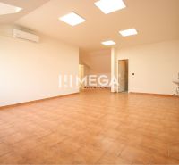 Spacious commercial premises with air conditioning and a sink, flooring with wood decor.