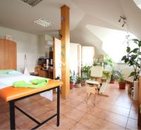 Commercial premises with flowers, massage table and furniture, tiled floor.
