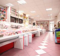 Interior of retail spaces with groceries and freezing boxes, tiled floor.
