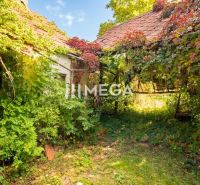 An overgrown family house in Petrovce with climbing plants and a brick roof.