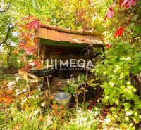 A well in the garden of a family house in Petrovce surrounded by green and red leaves.