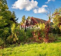 An overgrown family house in Petrovce with natural surroundings and a blue sky.