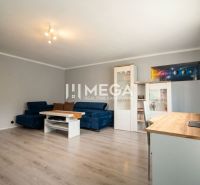 Living room in a family house with a blue sofa and a wooden decor floor.