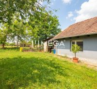 The exterior of a family house in Veľká Ida with a garden and lawn, surrounded by trees.