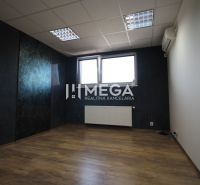 Offices with dark walls, wood-patterned flooring, and a window for natural light.