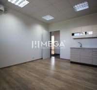 Office interior with wood-patterned flooring and kitchenette.