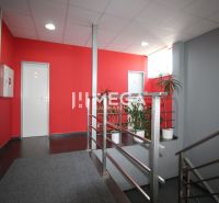 Offices with red walls and gray floors, plants, and metal railing.