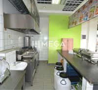 Kitchen equipment and kitchen unit with a sink in commercial premises.