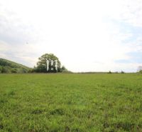 The greenery of the meadow and trees in the background, Vyšný Kazimír, land - residential.