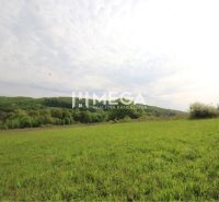 Plots - housing around Vyšný Kazimír, green meadow with forest background under a cloudy sky.