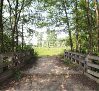 A forest path over a small bridge surrounded by greenery in Ptičí, Land - residential.