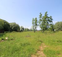 Greenery and trees on a plot in Ptičom suitable for living under the blue sky.