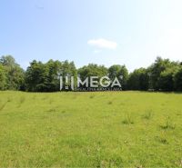 Green residential plots in the village of Ptičie surrounded by trees and a blue sky.