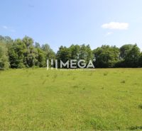 Plots - living in Ptičí: green meadow surrounded by trees, clear sky.