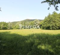 Zeleň in Ptičom offers plots - living surrounded by forest and grassy areas.