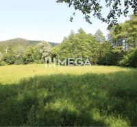 Greenery, trees, and meadow on plots in Ptičie suitable for living.