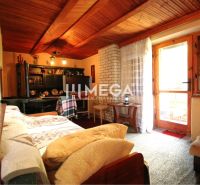 Interior of a cabin with a wooden ceiling, carpet, and a view of the terrace.
