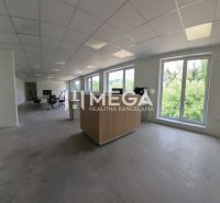 Spacious office spaces with large windows and furniture in wooden decor.