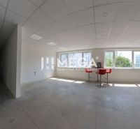 A bright office with white walls, ceiling panels, and red chairs by the windows.