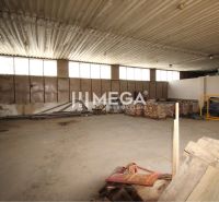 Spacious warehouses and halls with metal roofs and raw walls.