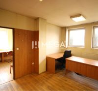 Offices with wood-patterned flooring and wooden furniture.