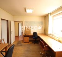 Offices with wood-patterned flooring, desks and chairs, light-colored walls, a plant by the window.