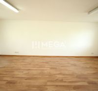 Empty office, white walls, wood-patterned floor, ceiling lighting.