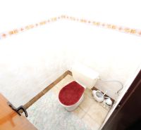 A toilet in a family house with a rug and decorative wall tiles.