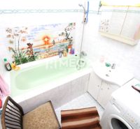 Bathroom with a green bathtub and a washing machine in a family house, tropical landscape decoration on the tiles.