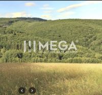 Agricultural and forest lands in Maškovce with dense forests and open meadows.