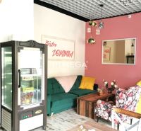 Gastro premises with colorful chairs, a mirror, and a floor with a wooden decor.