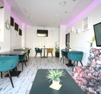 Gastro premises with decorative plants, colorful chairs, and a wooden decor floor.