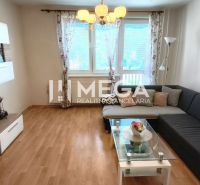 Living room in a family house with a sofa, television, and wooden decor flooring.
