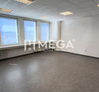 Spacious offices with multiple windows and wood-patterned flooring.