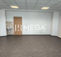 Empty office space with a sink and dark wood-patterned flooring.