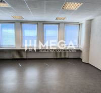 Offices with wood-patterned flooring and large windows for natural light.