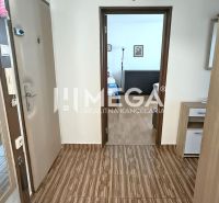 A hallway in a 4-room apartment with doors, a wooden decor floor, a mirror, furniture.