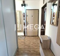 A hallway with a mirror and a wooden decor floor in a 4-room apartment.