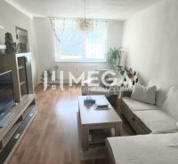 Living room in a 4-room apartment with a sofa, TV, and wood-patterned flooring.