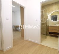 A hallway in a 3-room apartment with a visible bathroom and a floor with a wood decor.