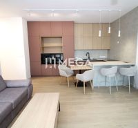 Living room with a kitchenette, floor with wood decor, 3-room apartment.