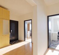 The entrance hall of a 3-room apartment with a large wardrobe and a floor with a wooden decor.