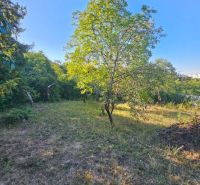 Garden in Košice - Krásna district on Šípková Street with fruit trees.