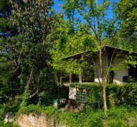 A cottage surrounded by trees and greenery in the gardens on Šípková Street, Košice - Krásna district.