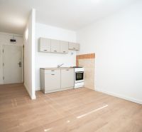 Kitchen corner with a kitchenette and a built-in stove in a studio apartment, floor with wood decor.
